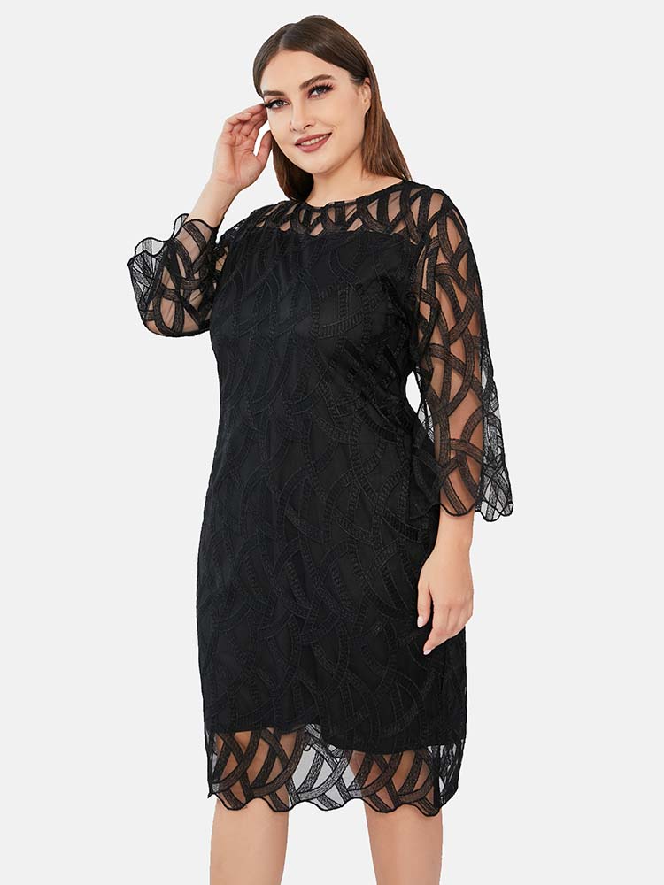 Three Quarter Sleeve Lace Panel Dress - View 7 | Lwiis