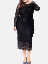 plus size black lace sheath dress
