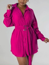 Ruched Collared Shirt Dress with Belt - View 15 | Lwiis