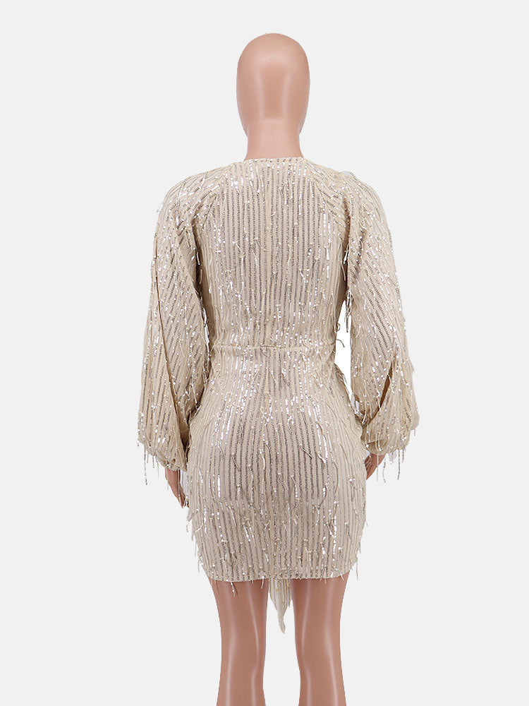 Sequin fringe party dress - View 6 | Lwiis