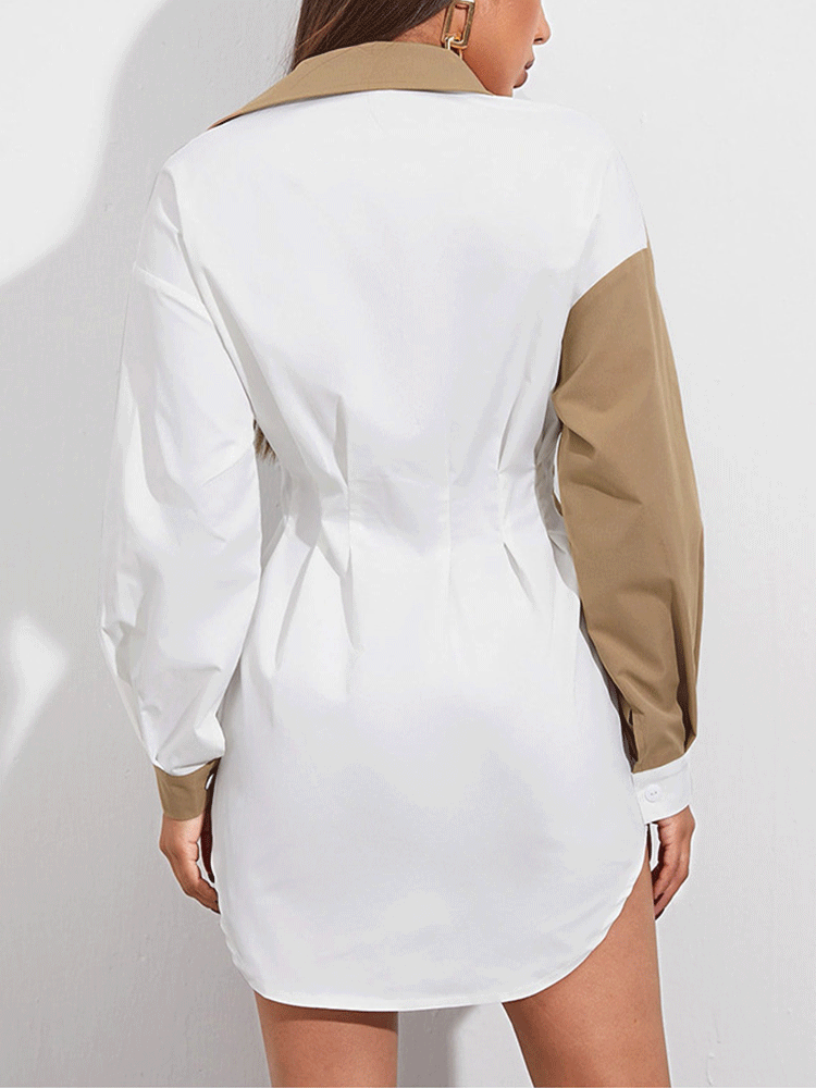Back view of the color block shirt dress, showcasing the pleated waist detail and overall silhouette.