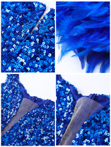 Close-up of the blue sequins and feathers on the dress.