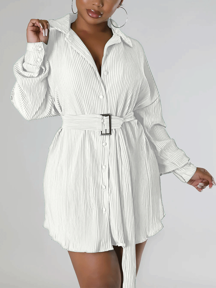 Ruched Collared Shirt Dress with Belt - View 10 | Lwiis