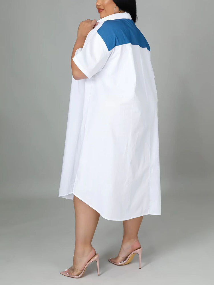 Back view of plus-size white shirt dress with blue panel