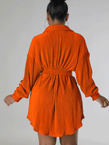 Ruched Collared Shirt Dress with Belt - View 14 | Lwiis