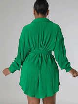 Ruched Collared Shirt Dress with Belt - View 7 | Lwiis