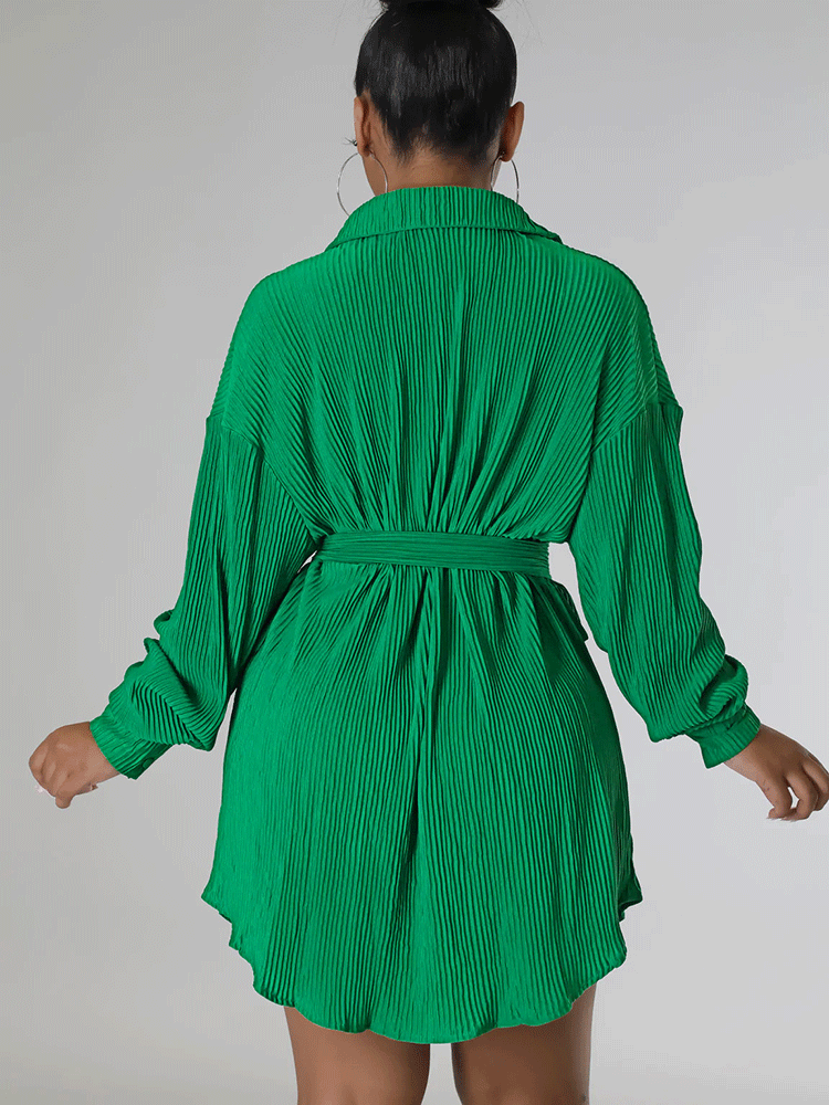 Ruched Collared Shirt Dress with Belt - View 7 | Lwiis