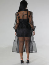 Sheer organza cover-up dress with button-down front and tiered hem - View 6 | Lwiis