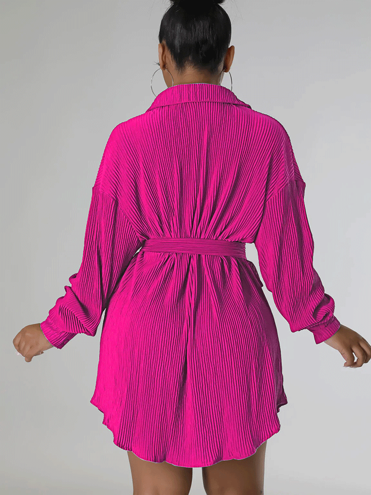 Ruched Collared Shirt Dress with Belt - View 16 | Lwiis