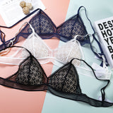 Mesh Cutout Lace Lingerie Set