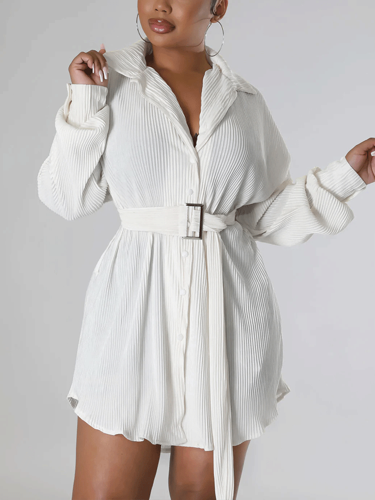 Ruched Collared Shirt Dress with Belt - View 9 | Lwiis