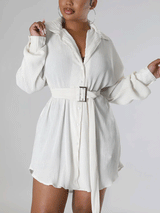 Ruched Collared Shirt Dress with Belt - View 9 | Lwiis