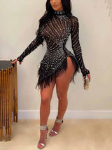 Woman wearing a black sheer mesh mini dress with long sleeves, rhinestone embellishments, and feather trim.