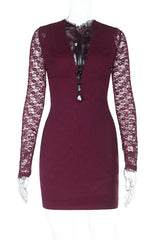 Fitted Lace Patchwork Mini Dress - View 6 | Lwiis