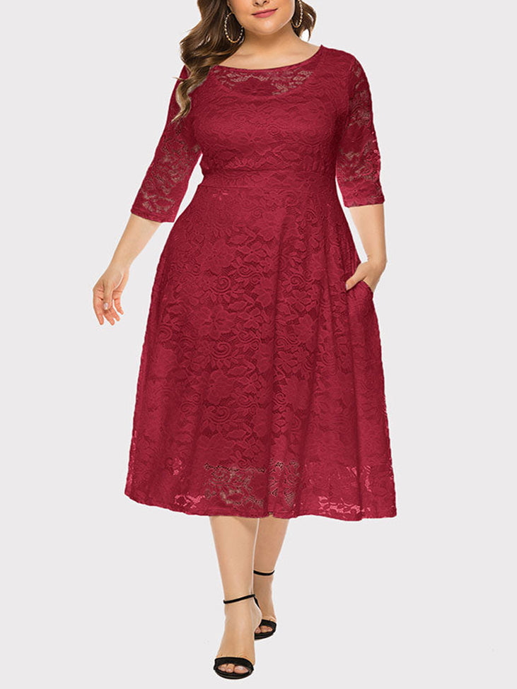 Lace A-Line Midi Dress - View 15 | Lwiis