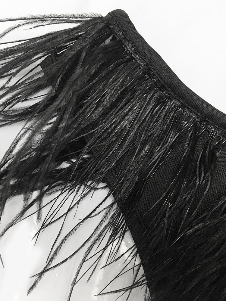 Close-up of black feather trim on a garment.