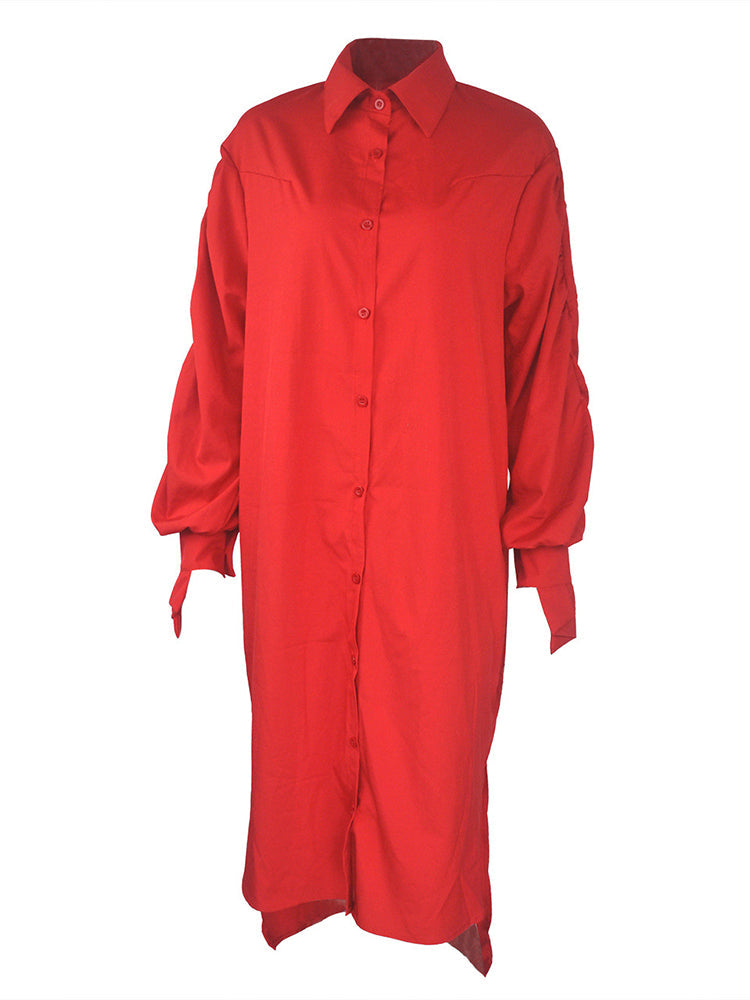 Turndown collar long sleeve shirt dress - View 19 | Lwiis