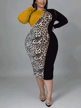 Colorblock Leopard Midi Dress - View 6 | Lwiis