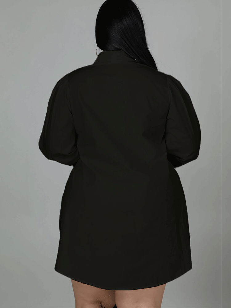 Button Down Shirt Dress with Bow Detail - View 8 | Lwiis