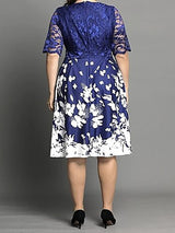 Rear view of plus size blue and white floral print fit and flare dress with lace top