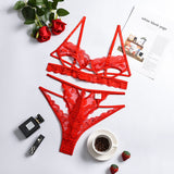 Hollow Out Strappy Embroider Lace Sexy Lingerie Set