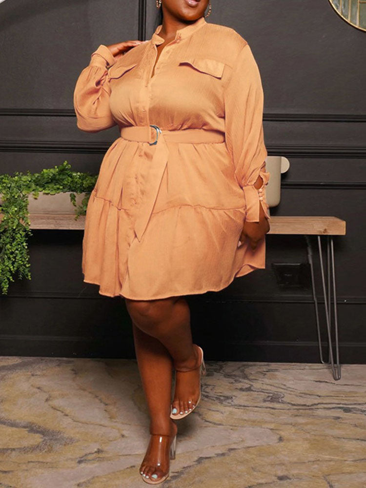 Button Down A-Line Dress - View 9 | Lwiis
