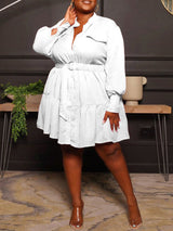 Button Down A-Line Dress - View 14 | Lwiis