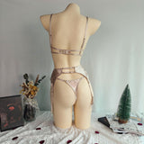 Embroidered Lace 3 Piece Sexy Lingerie Set