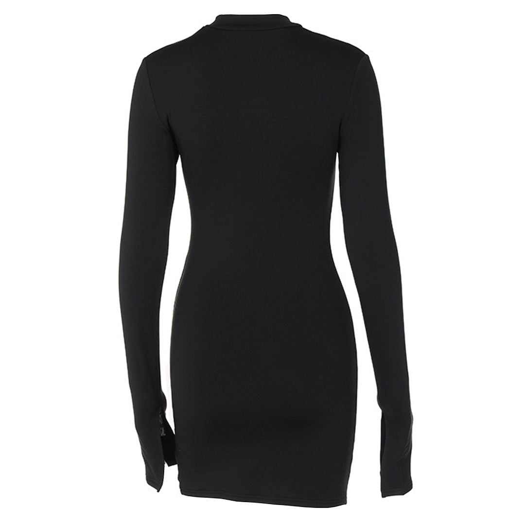 Back view of a black long-sleeve bodycon dress with a mock neck.