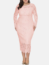 plus size pink lace long sleeve midi dress